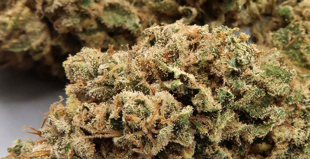 lemon haze CBD